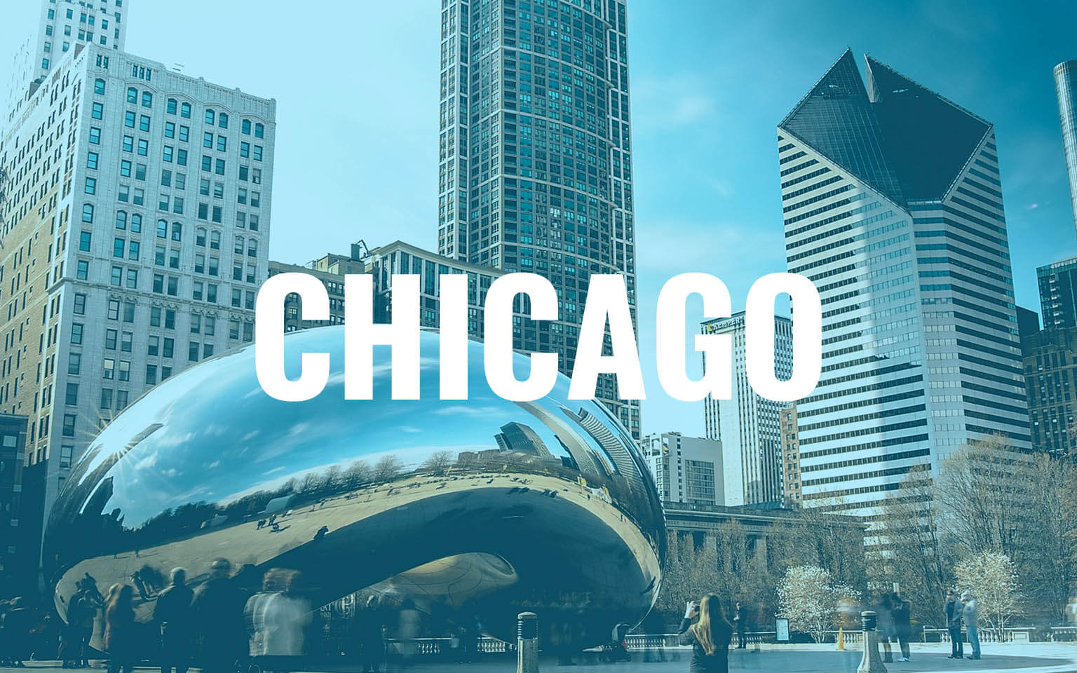 chicago_dil_okulu