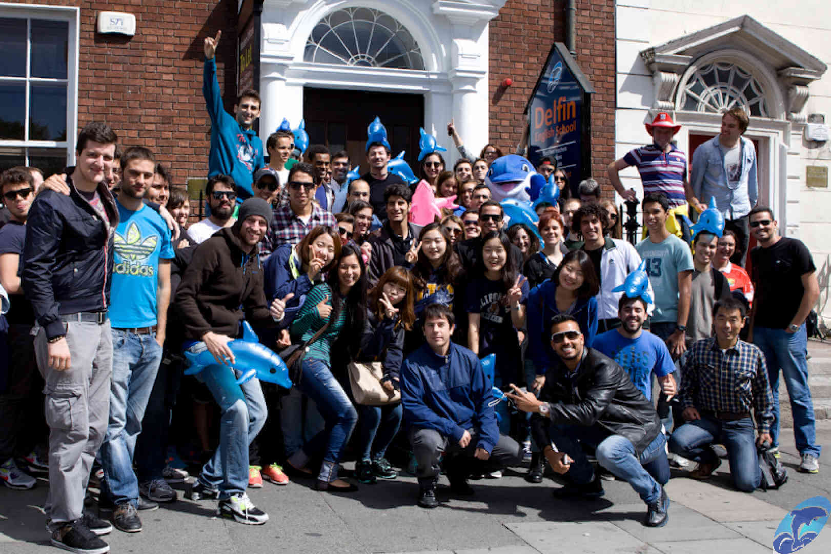 Delfin_dublin