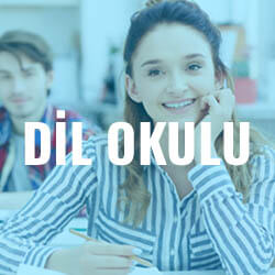 İngiltere_dil_okulu